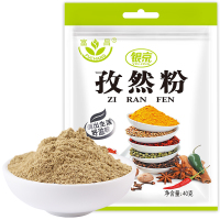 富昌 银京 孜然粉40g 香辛调味料炖肉烧烤腌肉烤串撒料 厨房调味料