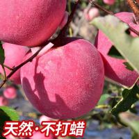 红富士苹果新鲜水果带箱9.5-10斤装大果
