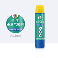 李字600ml杀虫气雾剂(无香纯净型)杀蚊子 杀蟑螂 杀蚂蚁 杀虫喷雾