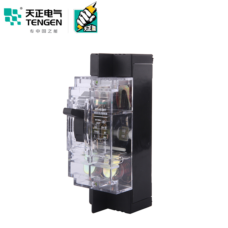 天正电气 DZ15-40 3KA 热磁式 32A 2P 手动 固定式 220V 01040030075 塑壳断路器