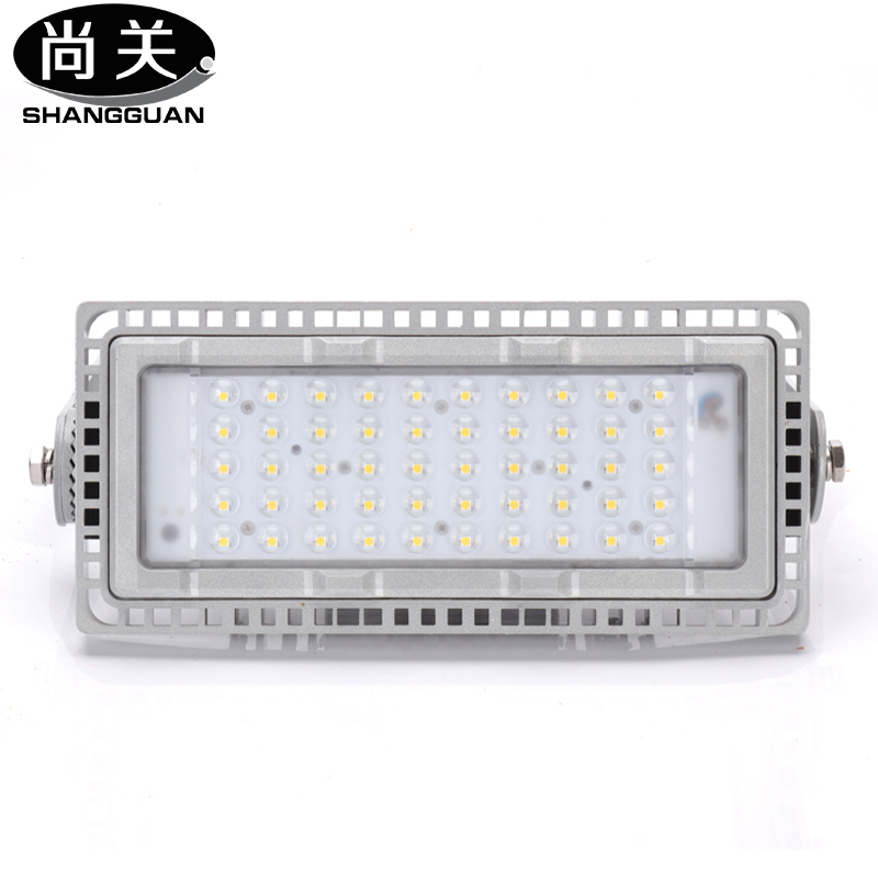 尚关(SHANGGUAN)泛光灯(投光灯) SQ-Z17 50W高清大图