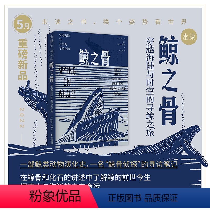 [正版]2022年5月未读之书鲸之骨:穿越海陆与时空的寻鲸之旅 一部鲸类动物演化史,一名“鲸骨侦探”的寻访笔记