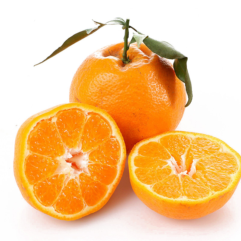 忆品川四川春见耙耙柑中果净重5斤新鲜水果