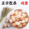 [破损1枚赔3枚]15年品牌,附绿色食品检测报告,苏北农家散养土鸡蛋 60枚 精品礼盒装