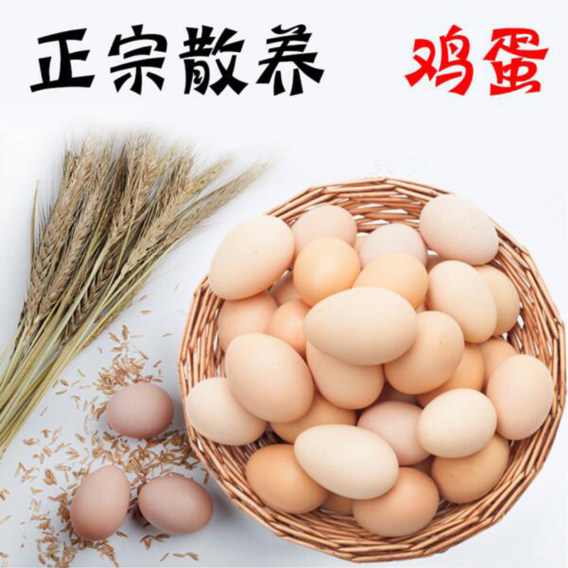 [破损1枚赔3枚]12年品牌,附绿色食品检测报告,苏北农家散养土鸡蛋 60枚 精品礼盒装