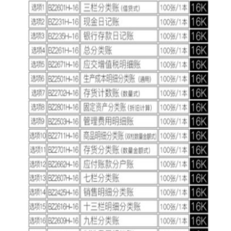 立信账本 总分类账