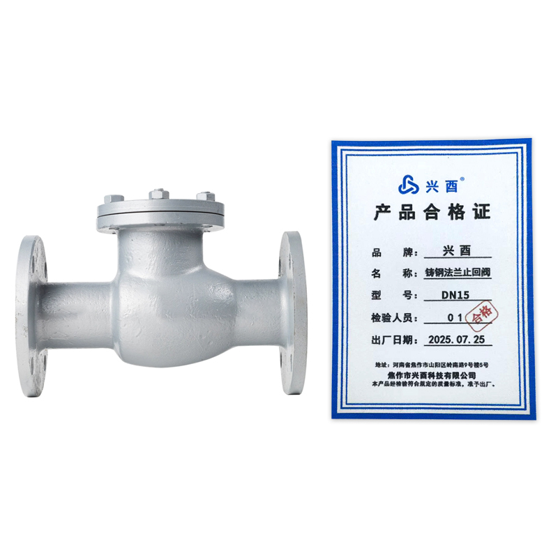 兴酉 铸钢法兰止回阀 DN15 个高清大图