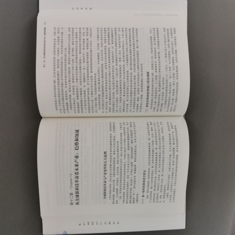 [正版]构建现代产业体系:从战略性新兴产业到未来产业
