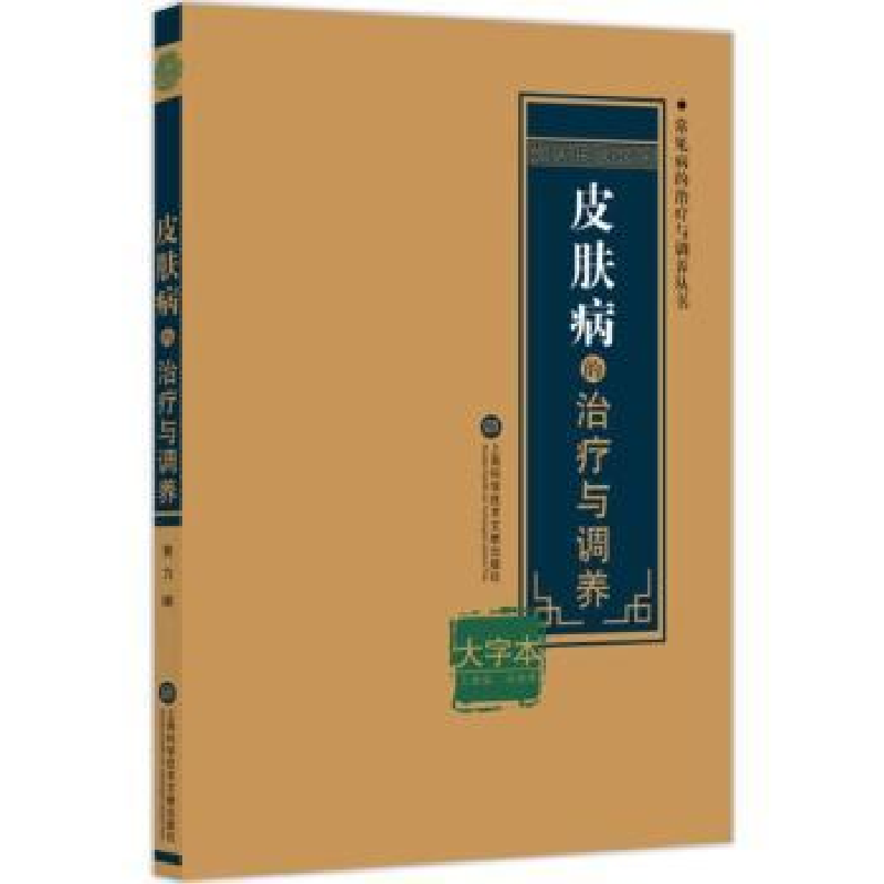 音像皮肤病的治疗与调养:大字本黄力 编