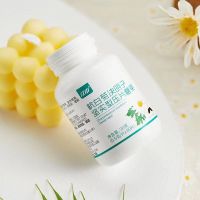 江中杭白菊决明子压片糖果
