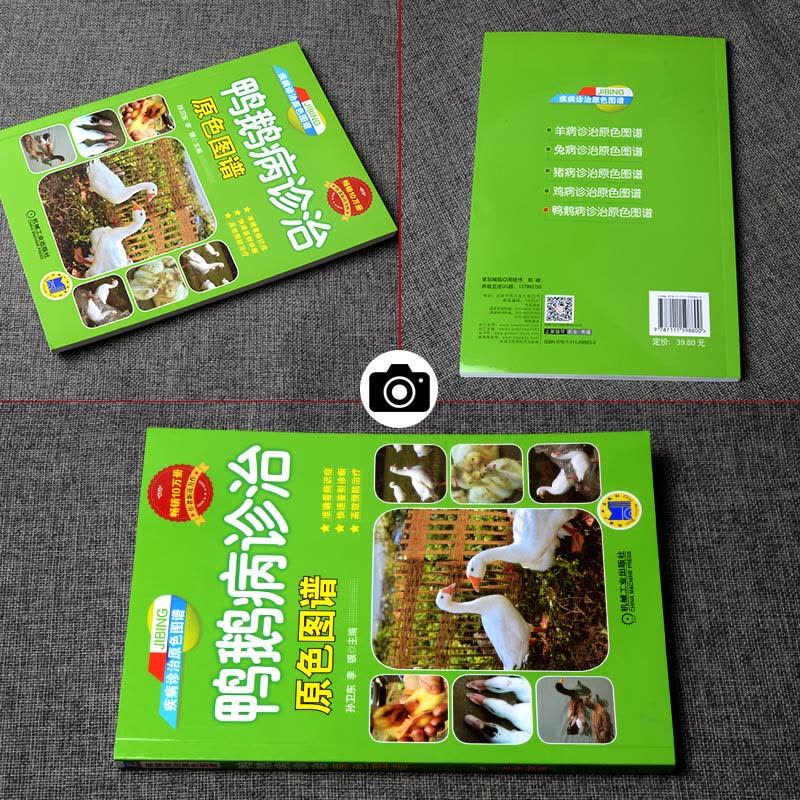 [醉染正版]鸭鹅病诊治原色图谱蛋鸭养殖技术养鸭书籍高效养鸭子疾病防治技术书籍肉鸭养殖场管理手册养鸭bi备药养鸭饲料养图片