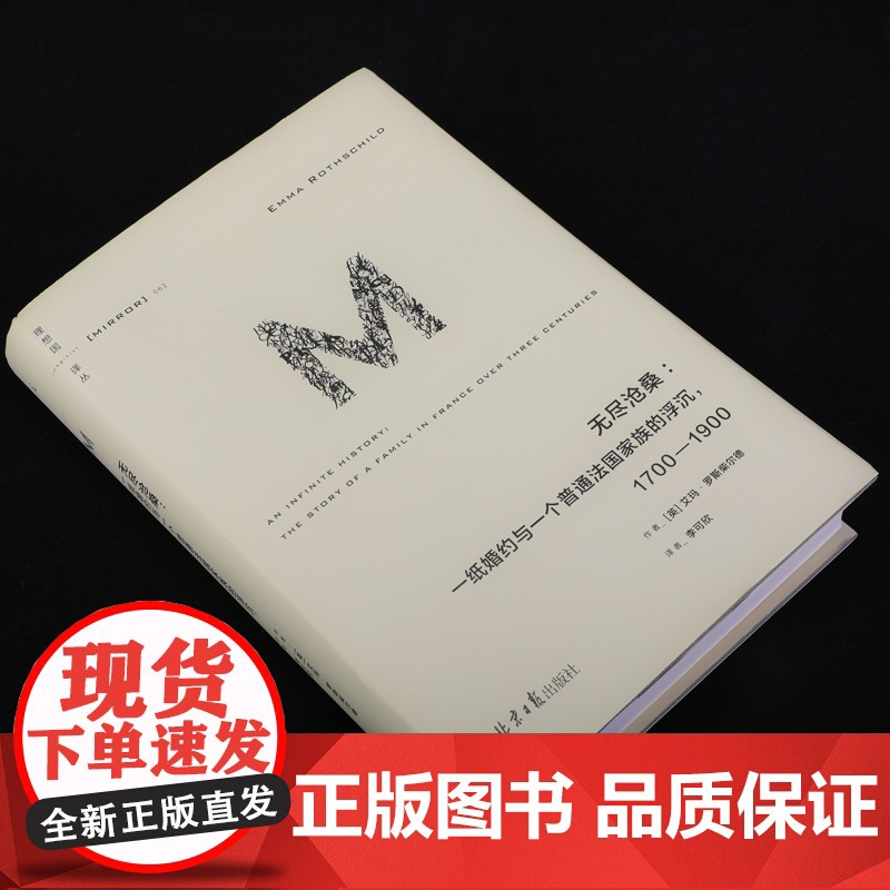 理想国译丛062:无尽沧桑:一纸婚约与一个普通法国家族的浮沉1700—1900高清大图
