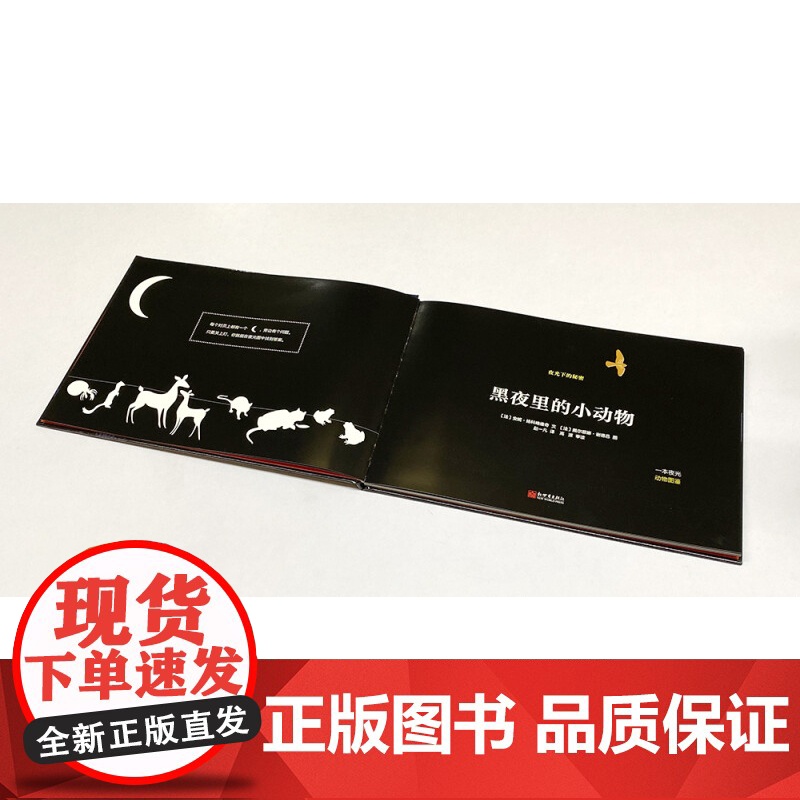 黑夜里的小动物 3-8岁 安妮·扬科略维奇 著 儿童绘本高清大图
