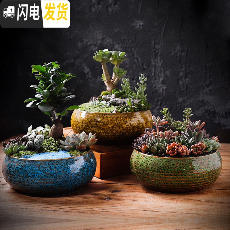 三维工匠多肉花盆粗陶透气大口径家用创意个性肉肉植物陶瓷老桩盆 套装四 中等花盆容器高清大图