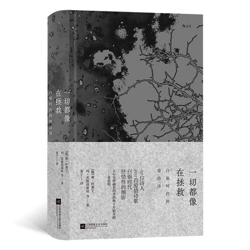 [正版] 一切都像在拯救 白银时代的爱情诗 叶赛宁茨维塔耶娃阿赫玛托娃爱情诗歌 俄国现代主义白银时代文学 外国诗歌文高清大图
