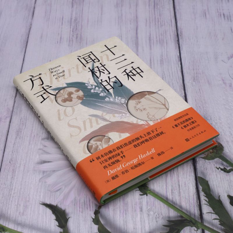 [正版]十三种闻树的方式高清大图