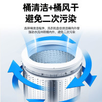 荣事达(Royalstar) 5.5公斤 全自动波轮洗衣机 家用租房节能大容量 透明灰ERVP191011T