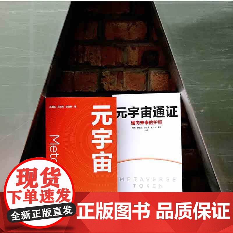 元宇宙 互联网的未来就是元宇宙 经济学家朱嘉明著金融博物馆理事长王巍作序互联网终极形态高清大图