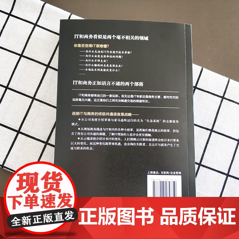 [央视网]IT真相 打通IT与商务的通路 IT行业企业管理必备 让IT与商务衔接更加紧密 楠真 著 GD高清大图