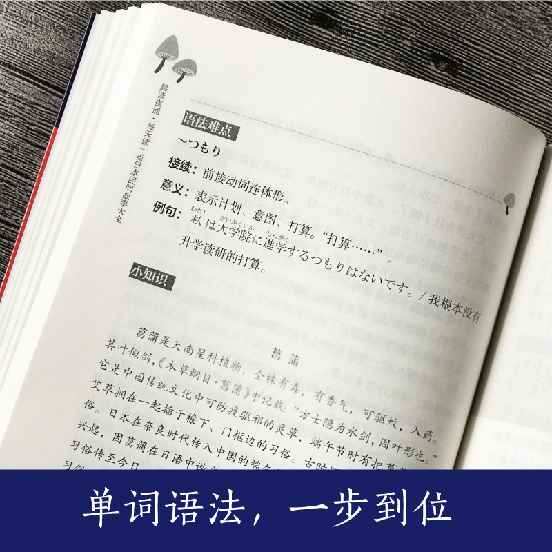 醉染图书晨读夜诵9787562852797高清大图