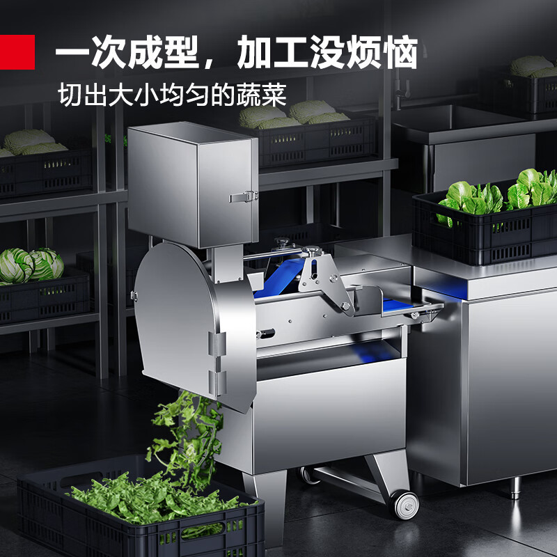 德玛仕(DEMASHI) JG-805 切菜机 商用电动多功能食堂用饭堂不锈钢蔬菜刨片机