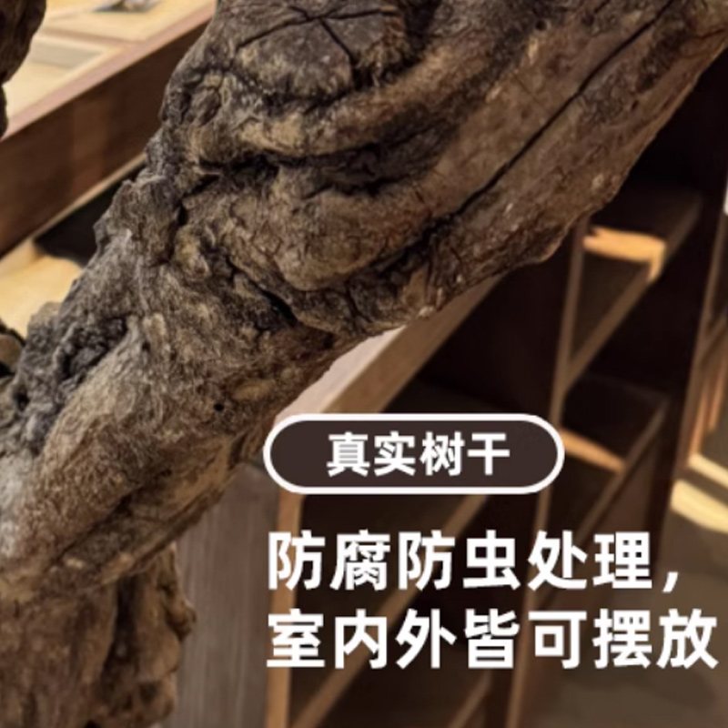汇特益 仿真柿子树1.2米高x1米宽 不包含树下装饰摆件(单位:棵)高清大图