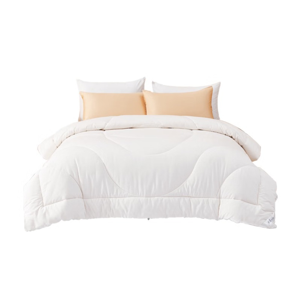 水星家纺 金小豆抗菌防螨大豆 200*230cm春秋被541958-DH