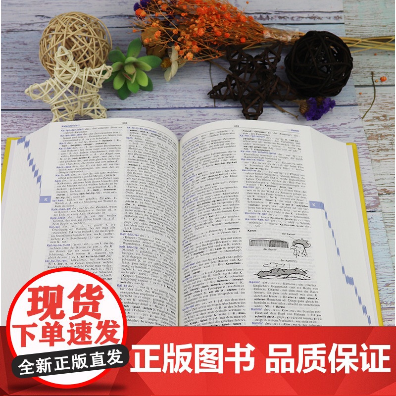 正版 朗氏德语大词典 全德文版 德语词典 德德词典朗式德语词典德德字典 德语朗氏德德辞典德文原版66000词汇外语教学与高清大图