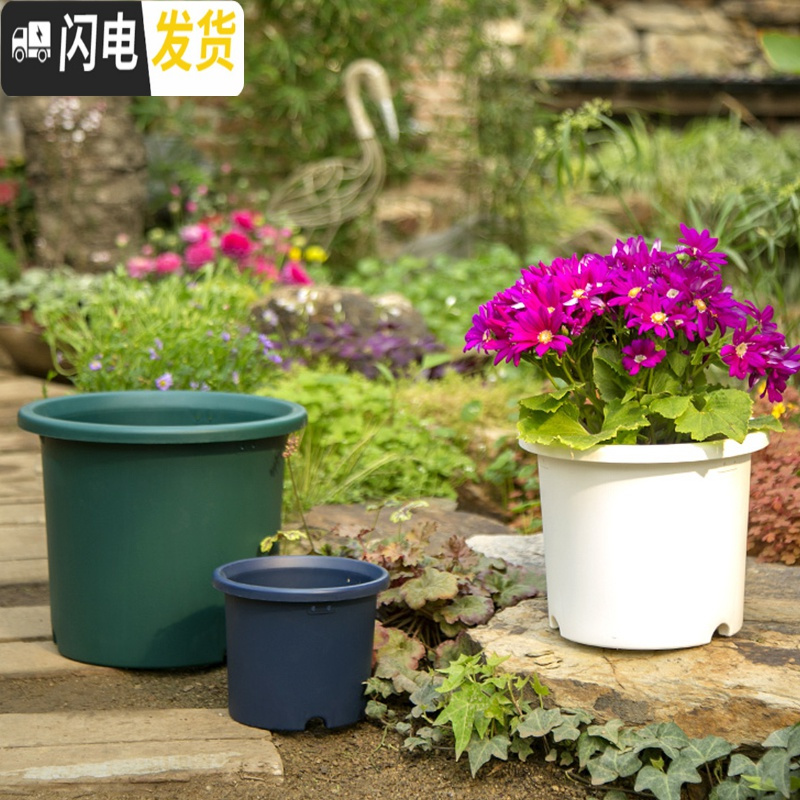 三维工匠彩色Deepot深型月季铁线莲花盆树脂花盆塑料加仑花盆 6号蓝色直径约20.3厘米 中等花盆容器