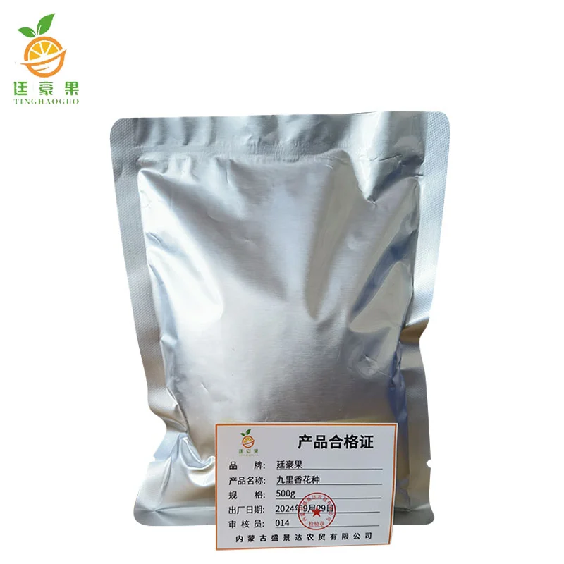 廷豪果 九里香花种 驱蚊香草种子 500g 袋高清大图