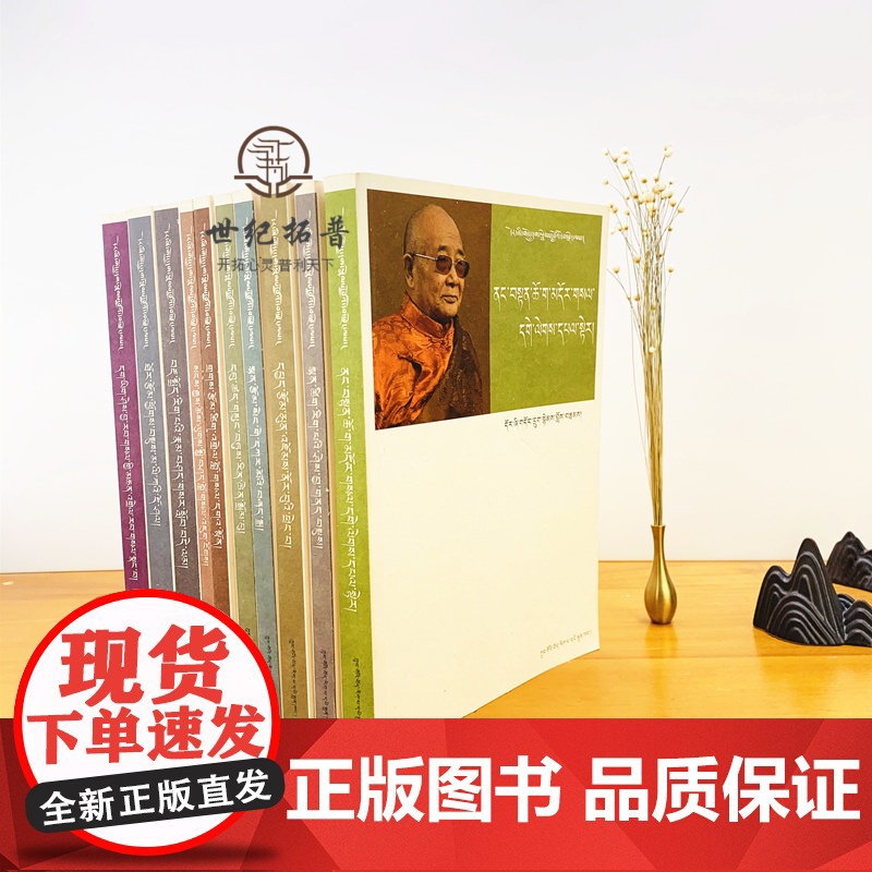 正版 多识文丛藏文版 全十册 多识 著 中国藏学出版社藏传佛教理论卷经典名著注释卷诗学理论卷诗歌卷中观因明卷藏传佛教高清大图