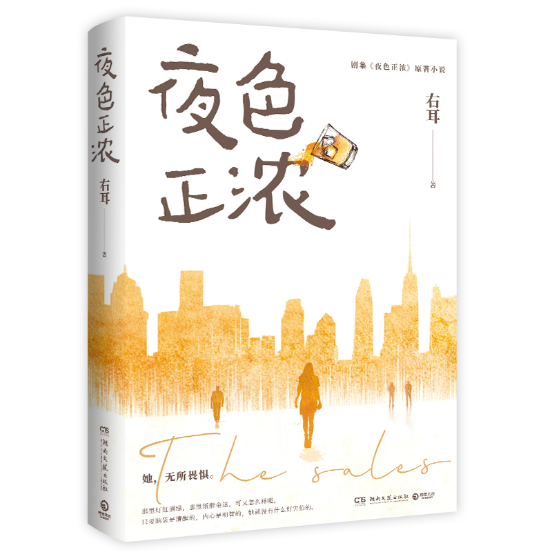 正版新书]夜色正浓(腾讯视频待播都市题材热剧《夜色正浓》原著高清大图