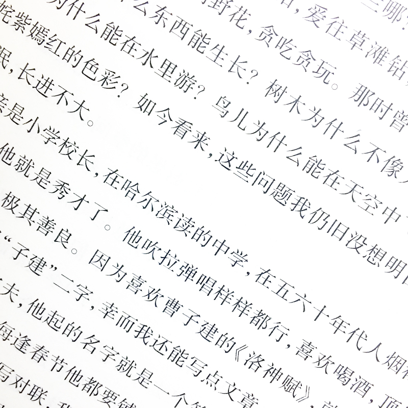[正版]书籍 迟子建散文 光明于低头的一瞬 迟子建精选集 人民日报出版社风雨总是那么的灿烂当代名家小说散文平装全中文文学高清大图