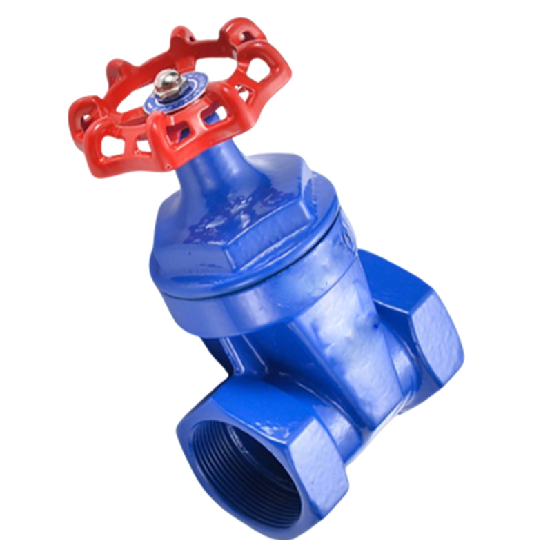 卡西斯顿 铸铁丝扣闸阀 DN40 个高清大图