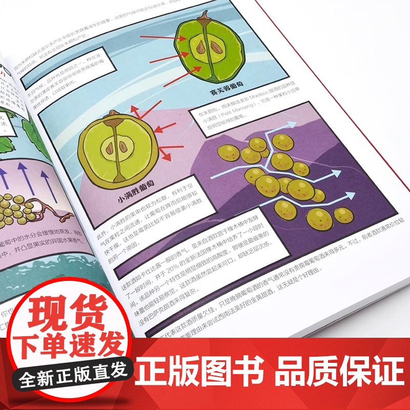 [央视网]33杯尽品法国葡萄酒精髓 大师教你掌握产区风土 酿酒风格与品鉴 葡萄酒知识 品饮笔记 葡萄酒品鉴赏宝典 YS高清大图