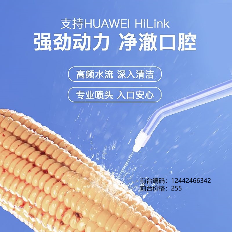 ApiYoo 便携式电动冲牙器X7 2支喷头高清大图