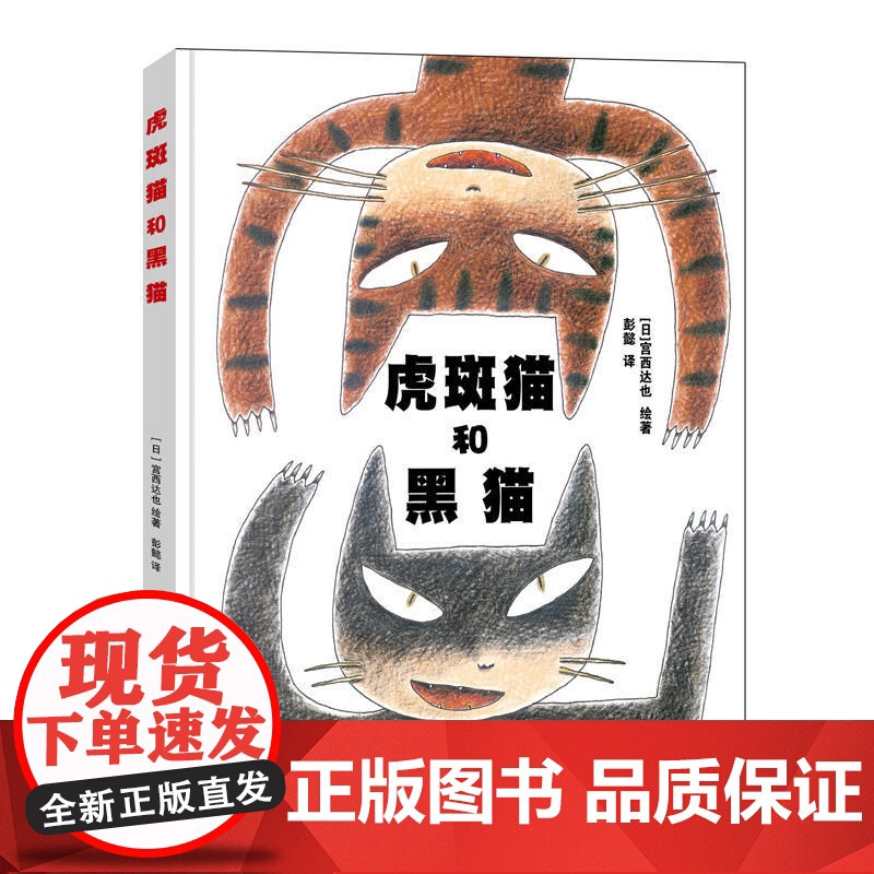 虎斑猫和黑猫高清大图