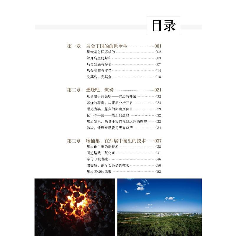 醉染图书乌金王国(精)/低碳清洁能源科普丛书9787110104071高清大图
