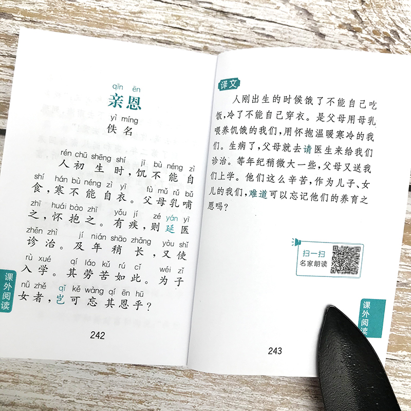 小学生成语故事 小学通用 [正版]爱上语文树每天5分钟小学生必背古诗词75+80首名人名言小古文汉字笔顺多音多义字成语故高清大图