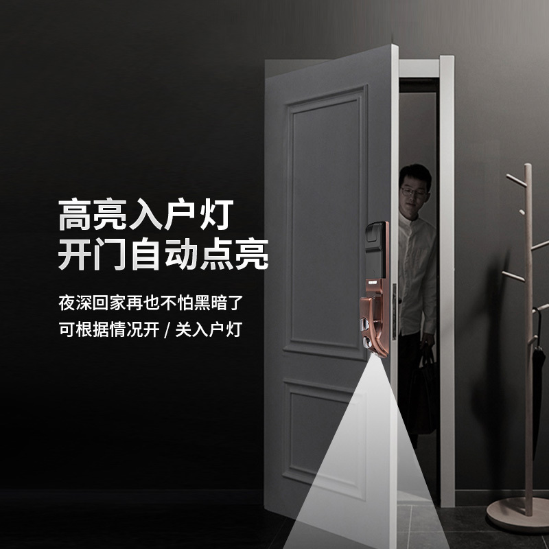 威龙原子高精度密码锁远程开启高清监控带入户灯指纹锁