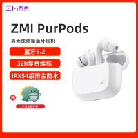 ZMI紫米 PurPodsTW101真无线耳机 超长续航32h EQsmart自适应技术 蓝牙5.2 入耳侦测 快充技术