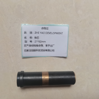 ZHE YAO DEVELOPMENT 铁芯 21*82mm 个
