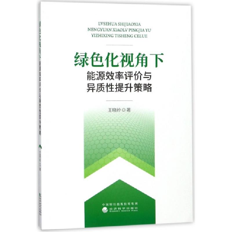 正版新书】绿色化视角下能源效率评价与异质性提升策略王晓岭9787