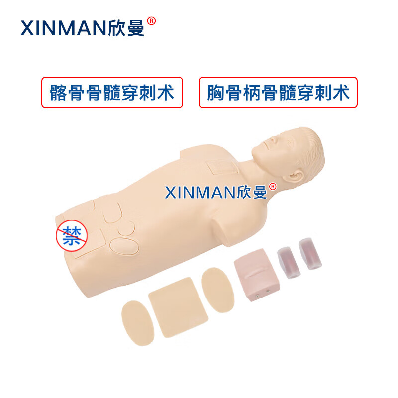欣曼科教 骨髓穿刺模拟人 骨髓穿刺训练模型 医学教学人体模型XM-1011高清大图