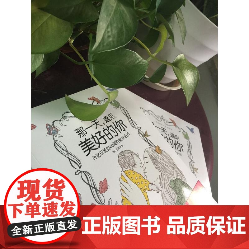 那一天,遇见美好的你 传递母爱的40周胎教涂色书 自由组合套装 机械工业出版社 正版书籍高清大图