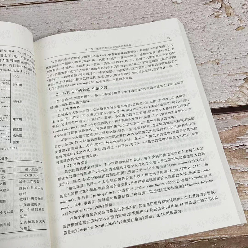 生涯咨询与辅导 [正版]中法图 生涯咨询与辅导 金树人 高等教育出版社 心理咨询与治疗丛书 心理教育管理社会学专业参考书