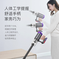 宝家丽(bobbot) 吸尘器 家用强力小型手持推杆两用有线清洁器 BX-610