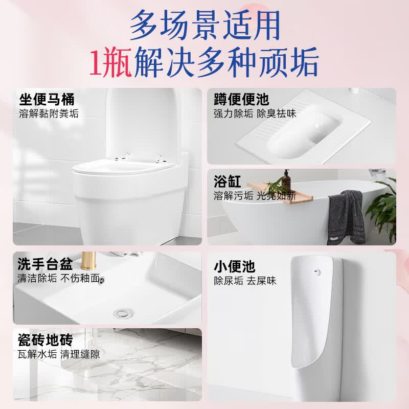 蓝漂雪松洁厕剂1瓶装500g高清大图