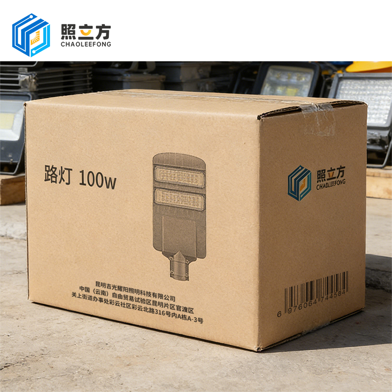 照立方 CHAOLEEFONG 路灯 100W 套高清大图