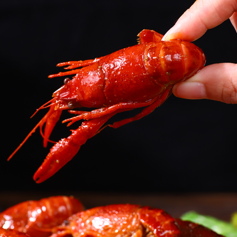 泗洪洪泽湖麻辣小龙虾46钱750g蒜蓉味龙虾袋装